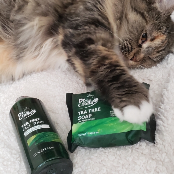 Bundle Dr. C. Tuna Tea 🌳 Face Tonic and Bar Soap - Picture 2 of 8